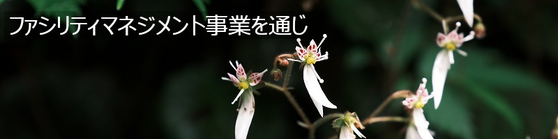 画像1: